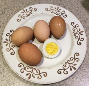 Eggs from our backyard hens.