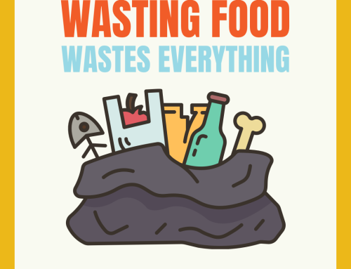 Practical Ways to Waste Less Food
