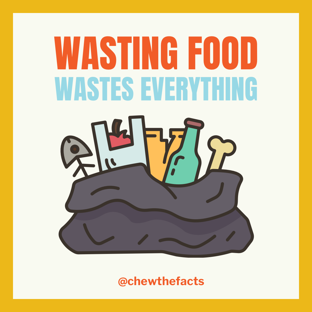 Practical Ways to Waste Less Food