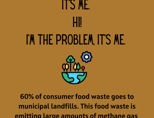 Small Steps, Big Impact: Consider Your Food Waste